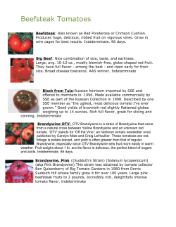 2015 tomato varieties - Leisen`s Bridgeway Farms