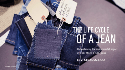 THE LIFE CYCLE - Levi Strauss & Co