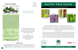 Native Tree Guide - Lake Forest Open Lands Association