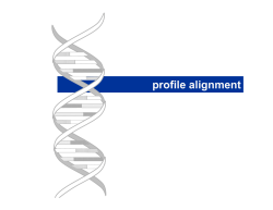 profile alignment