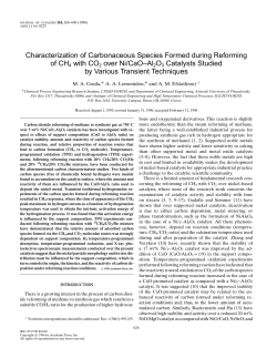Characterization of Carbonaceous Species Formed during