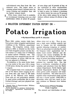 Potato Irrigation