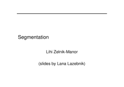 Segmentation - Lihi Zelnik