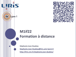 Formation Ã  distance - LIRIS