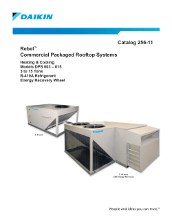 RebelÂ® Commercial Packaged Rooftop Systems