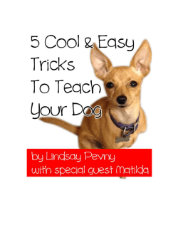 [ebook] 5 Cool & Easy Tricks To Teach Your Dog