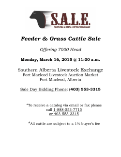 Feeder & Grass Cattle Sale - Southern AB Livestock Exchange