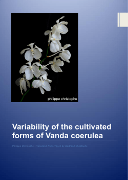 Variability of the cultivated forms of Vanda coerulea