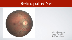 Retinopathy Net