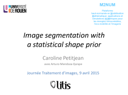 Image segmentation with a statistical shape prior