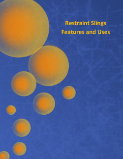 Restraint Slings Features and Uses