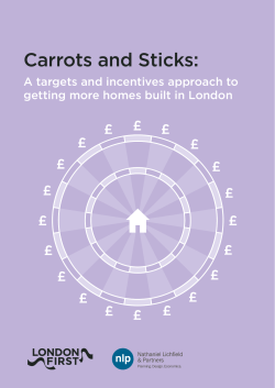 Carrots and Sticks: