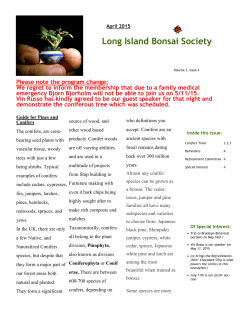 April 2015.pub - The Long Island Bonsai Society