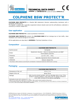 COLPHENE BSW PROTECT`R