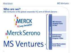 MS Ventures