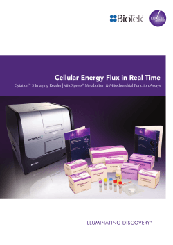 Cellular Energy Flux in Real Time