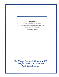 2014 Auditor`s Report & Financial Statements