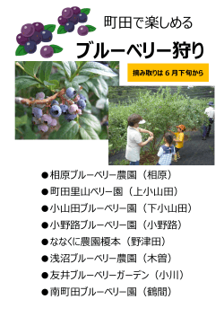 çºç°ã§æ¥½ããã