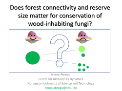 Does forest connectivity and reserve size matter for conservation of