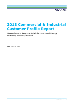 2013 C&I Customer Profile Report - MA Energy Efficiency Advisory