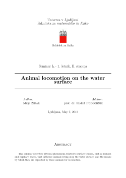 Animal locomotion on the water surface