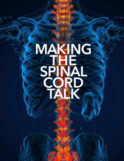 Making the Spinal Cord Talk