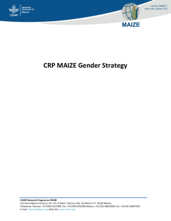 CRP MAIZE Gender Strategy - CGIAR Research Program on MAIZE