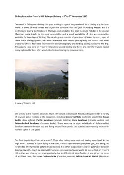 Birding Report for Fraser`s Hill, Selangor/Pahang