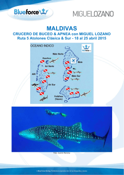 Crucero de Buceo & Apnea con Miguel Lozano