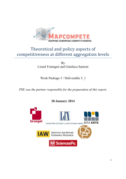 Theoretical and policy aspects of competitiveness at different