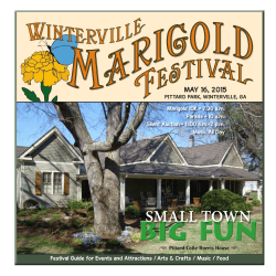 SMALL TOWN - Winterville Marigold Festival