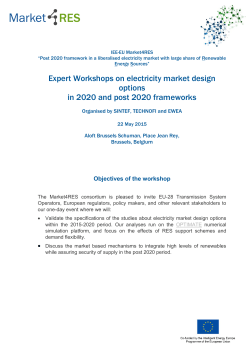 Expert Workshops on electricity market design options in 2020 and
