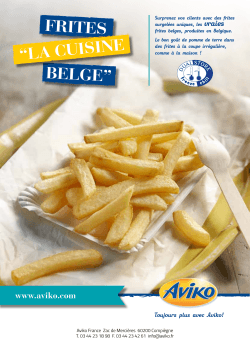 Frites âLa Cuisine Belgeâ