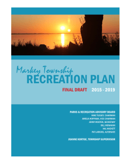 Rec Plan - Markey Township