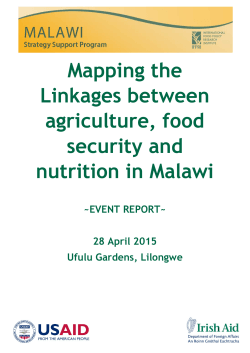Mapping the Linkages between agriculture, food security and