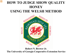Welsh Judging Presentation