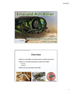 Emerald Ash Borer Update - UConn Extension Master Gardener