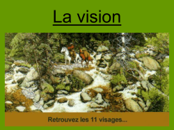 Cours : La vision