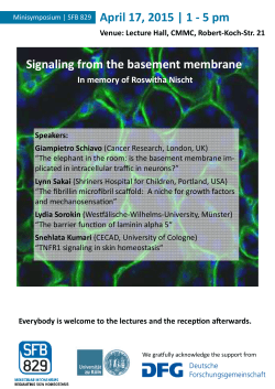 April 17, 2015 | 1 - 5 pm Signaling from the basement membrane