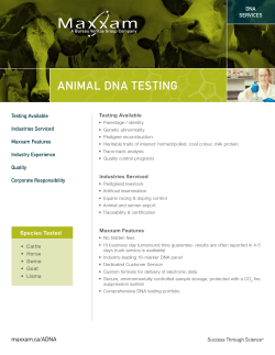 ANIMAL DNA TESTING