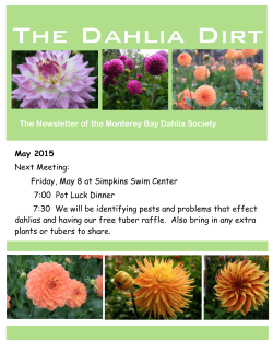 MBDS May 2015 - The Monterey Bay Dahlia Society