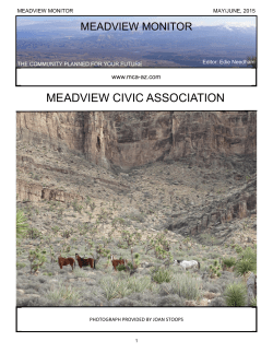 MEADVIEW CIVIC ASSOCIATION - mca