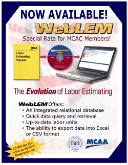 WebLEM Flyer