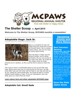 The Shelter Scoop â¢ April 2015
