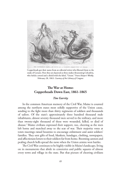 The War at Home â Copperheads Eown East, 1861-1865