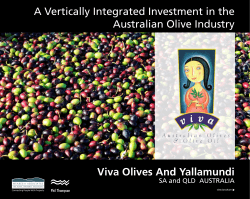 Viva Olives And Yallamundi A Vertically Integrated Investment in the