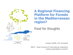 A Regional Financing Platform for Forests in the Mediterranean