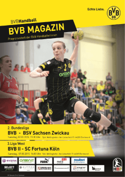 BSV Sachsen-Zwickau - Borussia Dortmund Handball