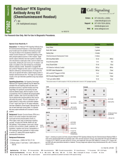 PathScanÂ® RTK Signaling Antibody Array Kit