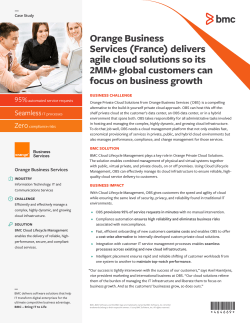Orange Business Services (France) delivers agile cloud